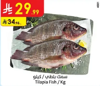 سمك بلطي / كيلو