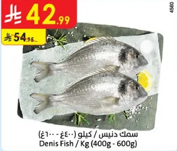 سمك دنيس / كيلو (400غ - 600غ)