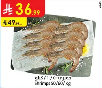 جمبري 50/60 كيلو