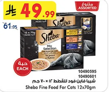 شيبا فاين فود للقطط 12 × 70 جرام