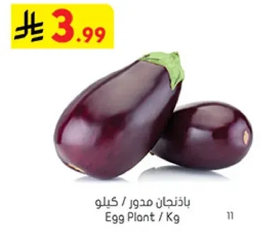 Egg Plant / Kg