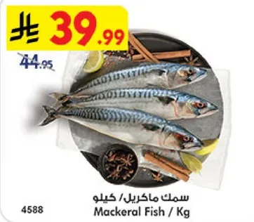 سمك ماكريل / كيلو