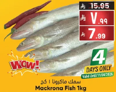 سمك ماكرونا 1 كجم