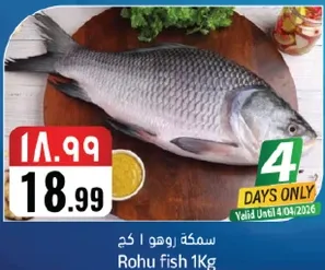 سمكه روهو 1 كجم