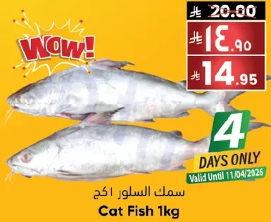 سمك السلور 1 كجم