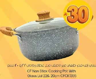 وعاء طهي غير لاصق مع غطاء زجاجي 22 سم و 20 سم CFCK1355