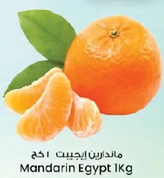 ماندارين ايجبت 1 كغ