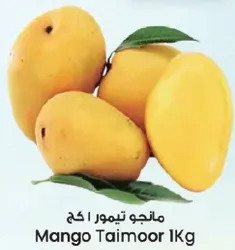 مانجو تيمور 1 كغ