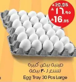 صينيه بيض كبيره تسع 30 بيضه