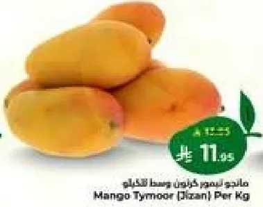 مانجو تيمور (جازان) لكل كيلو