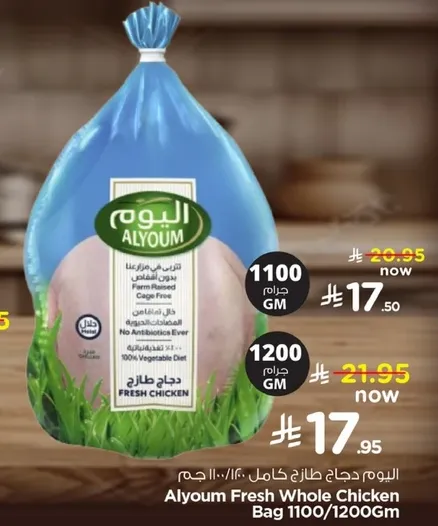 Alyoum Fresh Whole Chicken