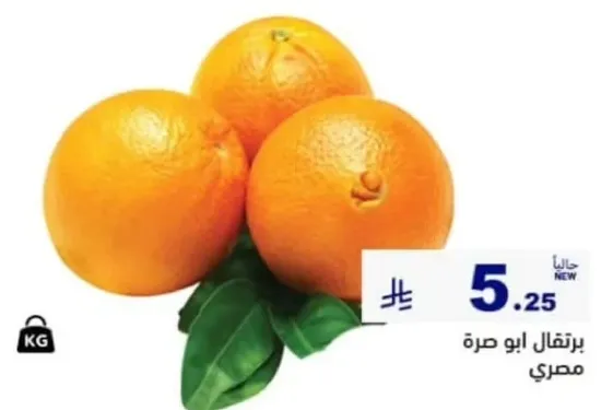 برتقال ابو صره مصري