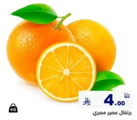 برتقال عصير مصري