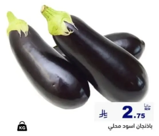 باذنجان اسود محلي.