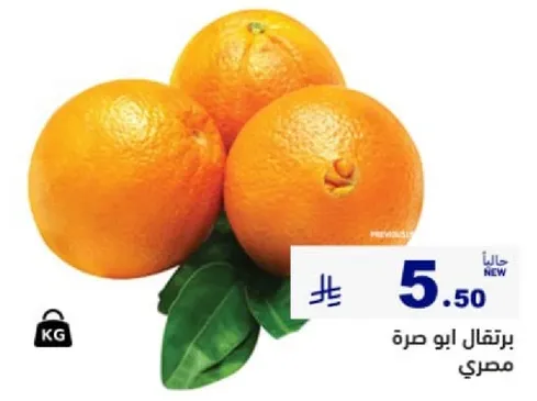 برتقال ابو صره مصري.