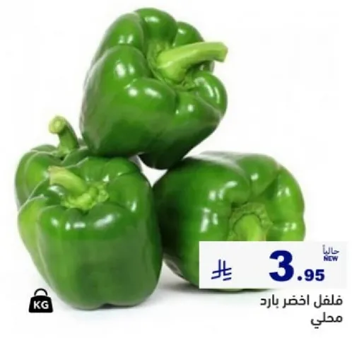 فلفل اخضر بارد