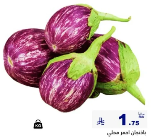 باذنجان احمر محلي.