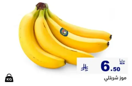 موز شرتلي طازج وحلو.