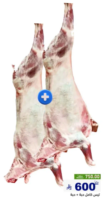 خروف كامل، طازج وبارد.