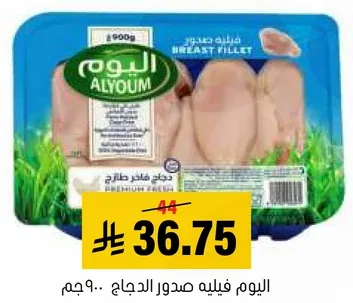 اليوم فيليه صدور الدجاج.