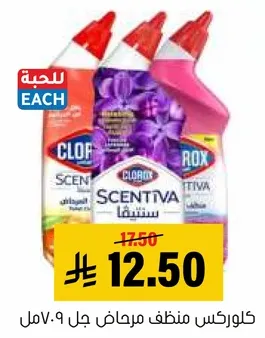 كلوركس منظف مرحاض جل.