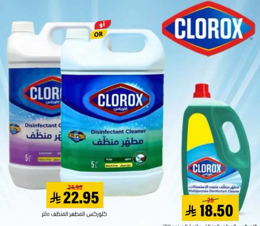 كلوركس المطهر المنظف