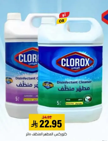 كلوركس مطهر منظف
