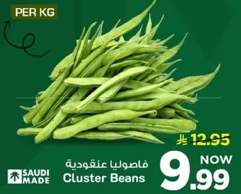 فاصوليا عنقوديه