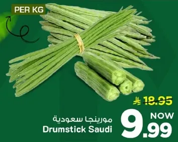 مورنغا سعوديه