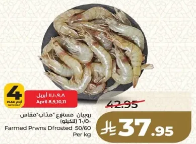 روبيان مستزرع مذاب - مقاس 50/60 (بالكيلو)