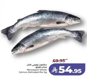 سالمون نرويجي كامل مهداه للتذويب