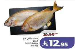 سمك صافي كبير للغلو