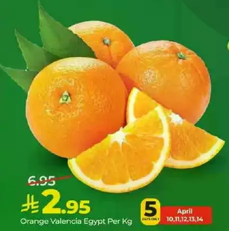 برتقال فالنسيا مصر لكل كيلو