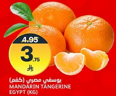 يوسفي مصري (كغم)