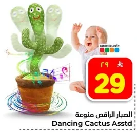 الصبار الراقص منوع