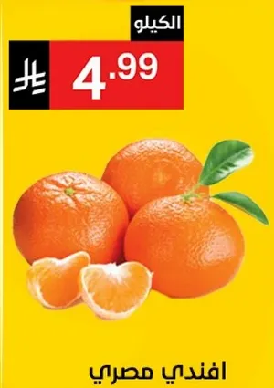 Egyptian mandarin oranges.