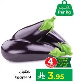 Eggplant
