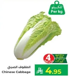 Chinese Cabbage