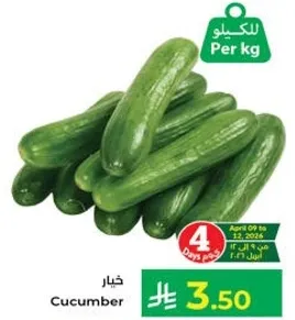 Cucumber