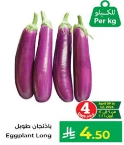 Long Eggplant