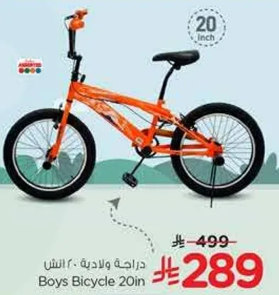 Boys Bicycle 20in