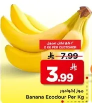 موز اكوادور يباع بالكيلو.