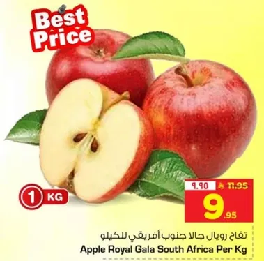 تفاح رويال جالا جنوب افريقيا للكيلو