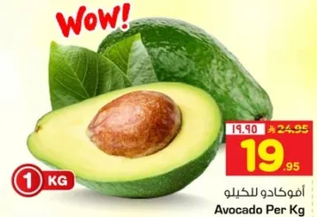 افوكادو للكيلو