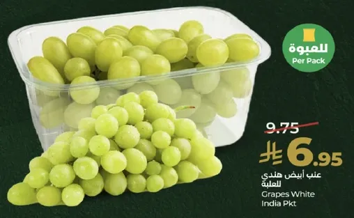 عناب ابيض هندي