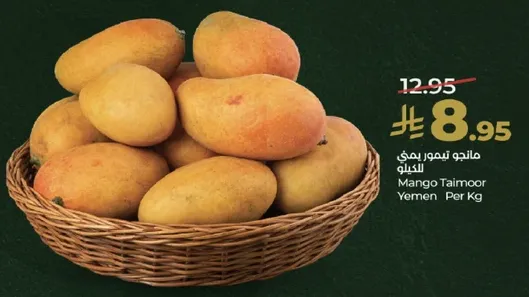مانجو تيمور يمني لكل كيلو.
