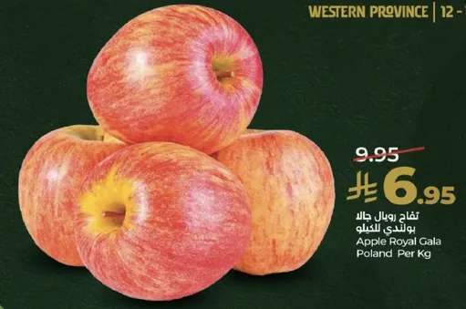 تفاح رويال جالا بولندي كيلو