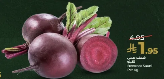 شمندر محلي الكيلو