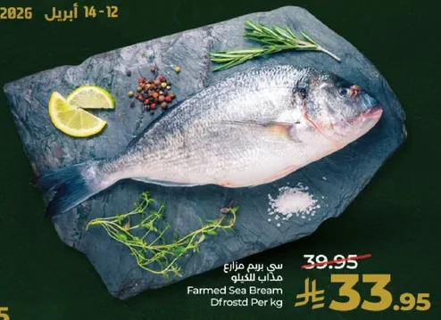 هامور مزرعه