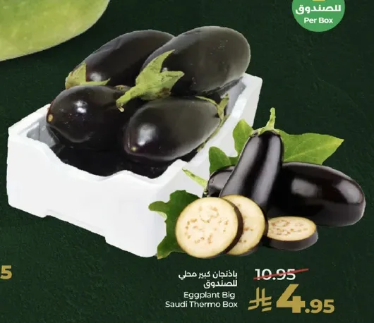 باذنجان كبير محل الصندوق